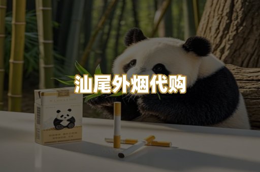 汕尾外烟代购