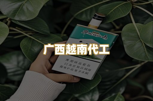 广西越南代工